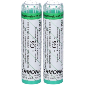 Cerca Offerte di armonic g6 2x70 g e acquista online