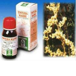 artemisia 2 50ml tm bugiardino cod: 909309357 