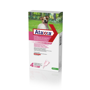 ataxxa spot on 4 pipette 1ml 4-10kg bugiardino cod: 104800065 