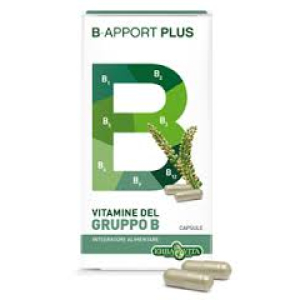 b apport plus 40 capsule bugiardino cod: 923211686 