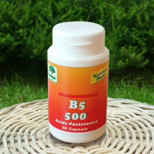 natural point b5 500 vitamina integratore bugiardino cod: 931043828 