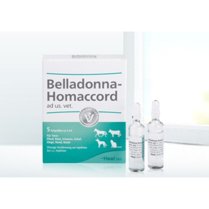 belladonna-homaccord 5f 5ml bugiardino cod: 104850019 