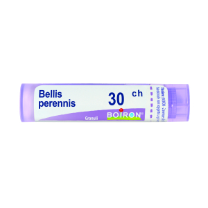 bellis perennis 30ch 80gr 4g bugiardino cod: 046162297 