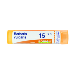 berberis vulgaris 15ch 80gr 4g bugiardino cod: 046235141 