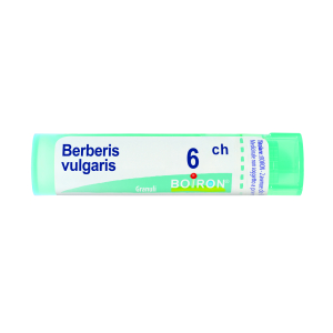 berberis vulgaris 6ch 80gr 4g bugiardino cod: 046235053 