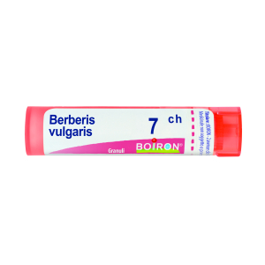 berberis vulgaris 7ch 80gr 4g bugiardino cod: 046235065 