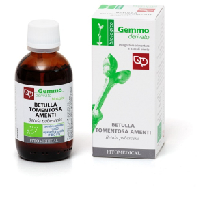 Betulla pubescens amenti macerato glicerico 50 ml bio