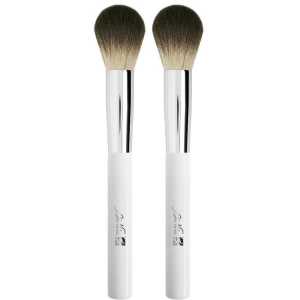 Trova Offerte di bionike defence color pennello blush 2x1 st e compra online