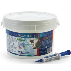 biozone l 24siringhe 10g bugiardino cod: 972128829 