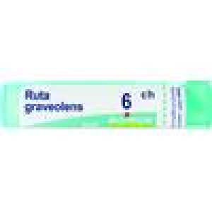 Trova Offerte di Bo. Ruta Graveolens 6 CH 80 g 4 g e compra online