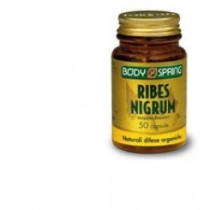 body spring ribes nigrum 50 capsule bugiardino cod: 908732973 