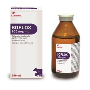 boflox*iniet fl 250ml 100mg/ml bugiardino cod: 104499025 