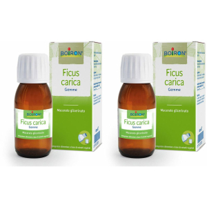 Trova Offerte di boiron® ficus carica gemme set da 2 2x60 ml soluzione orale e compra online