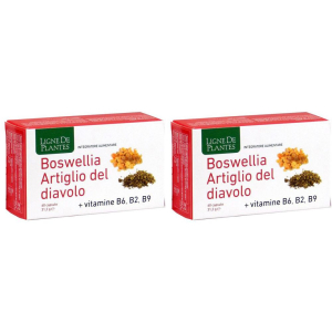 Trova Offerte di boswellia artiglio diavol60cps set da 2 2x60 pz capsule e compra online