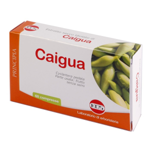 caigua estr sec 60 compresse 22,2g bugiardino cod: 907029209 