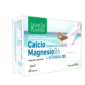 calcio magnesio b6+vitd3 60 capsule bugiardino cod: 941790584 