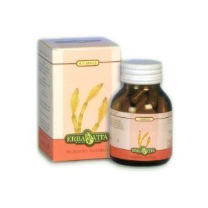 camomilla 60cps 300mg bugiardino cod: 902654894 