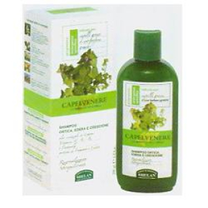 capelvenere shampoo ortica edera200 bugiardino cod: 939157071 