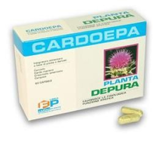 cardoepa 60 capsule bugiardino cod: 906655814 