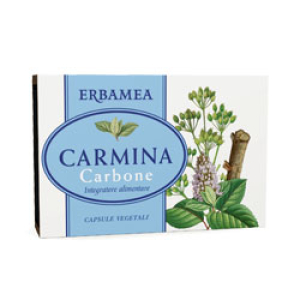 carmina carbone 24 capsule 12g bugiardino cod: 922943675 