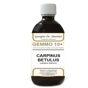 carpino bi 500ml analco gem10+ bugiardino cod: 924546221 