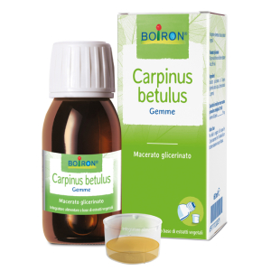 carpinus betulus mg 60ml intensivo bugiardino cod: 977701059 