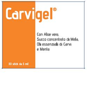 carvigel 30bust stick pack 5ml bugiardino cod: 932875990 