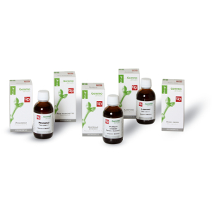 castanea vesca mg 100ml bugiardino cod: 911188377 