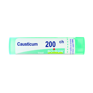 causticum 200ch 80gr 4g bugiardino cod: 048086716 