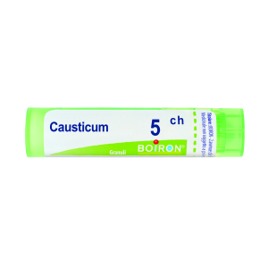 causticum 5ch 80gr 4g bugiardino cod: 048086452 