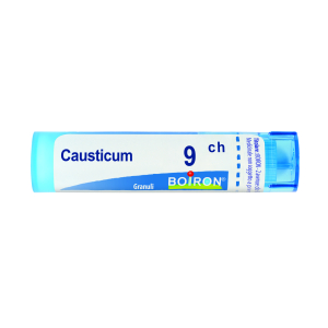 causticum 9ch 80gr 4g bugiardino cod: 048086490 