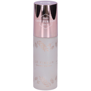 Cerca Prezzi di cent pur fixing spray - le fixeur 100 ml spray e acquista online