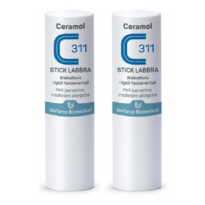 Cerca Prezzi di ceramol stick labbra 311 set da 2 2x4,5 g rossetto e acquista online