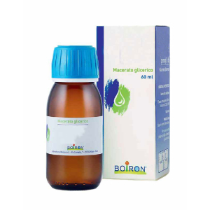 CERCIS SILIQ GEMME 60ML MG