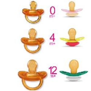 CH SUCCH ROSA 12M+ 2PZ S/A