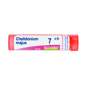 chelidonium majus 7ch 80gr 4g bugiardino cod: 047565623 