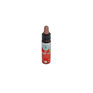 cherry plum bio cromo 10ml bugiardino cod: 930353091 