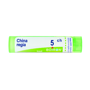 china regia 5ch 80gr 4g bugiardino cod: 046209045 