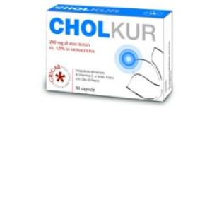 cholkur integratore controllo colesterolo 30 bugiardino cod: 903673388 