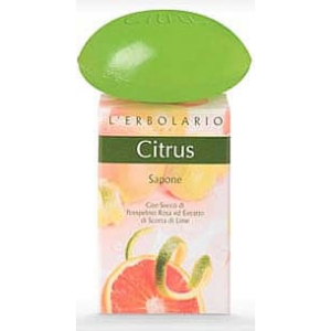 citrus sapone 100g bugiardino cod: 938925017 