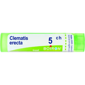 clematis erecta 5ch 80gr 4g bugiardino cod: 046440032 