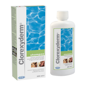 clorexyderm shampoo 250 ml i. c. f. ind. bugiardino cod: 900533757 