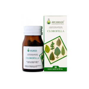 arcangea clorofilla integratore alimentare bugiardino cod: 925537704 