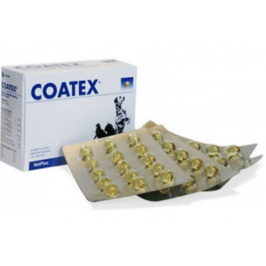 coatex 60 capsule bugiardino cod: 976014391 