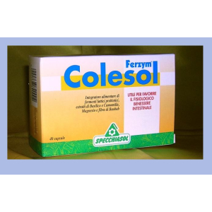 colesol ferzym 40cps bugiardino cod: 903930232 