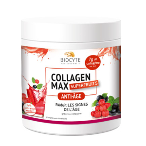 collagen max superfruits20x13g bugiardino cod: 977626593 