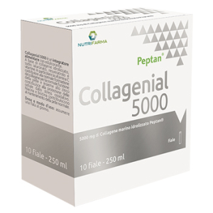 collagenial 5000 10f 25ml bugiardino cod: 978846879 