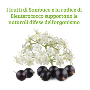 Cerca Prezzi di colours of life sambuco formula compresse 30 g e acquista online