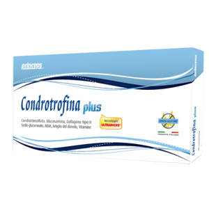condrotrofina plus 30 compresse bugiardino cod: 942578752 