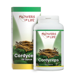 cordyceps 100 capsule flowers of life bugiardino cod: 970211456 